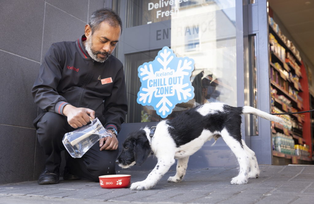 Supermarket worker giving water to a dog